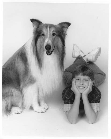 Will Nipper 8x10 Photo Child Actor The New Lassie Star Will Estes J488