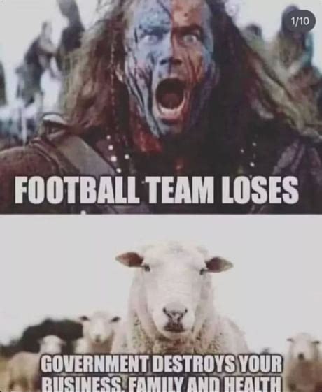 Best Funny Sheeple Memes 9gag