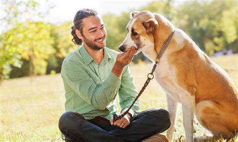 7 Reasons Why Dogs Are Best Friends Dog Lovers Out There