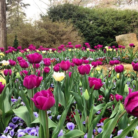 You will be able to have your flowers. April welcomes Spring Plant Sale and Alabama's longest ...