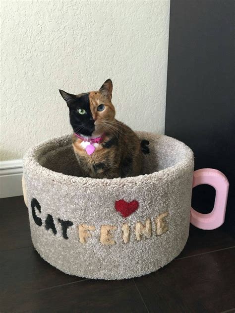 Cat Furniture Catfeine Cup Bed Real Wood Made In Usa Etsy Cat Bed