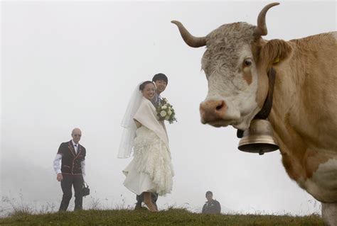 The Strangest Wedding Photos Ever Taken