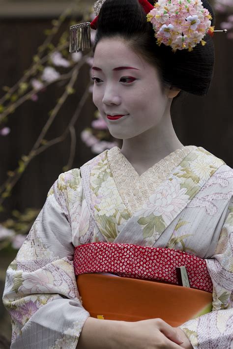 Under Cherry Blossoms Maiko Takahiro In Memoriam Onihide