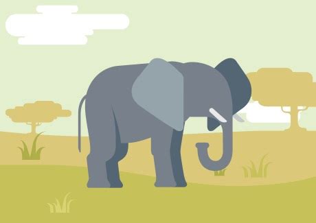 Joke term used when someone remebers something very well that they would not be expected to. An Elephant Never Forgets - The Meaning of This Saying, and its Origin