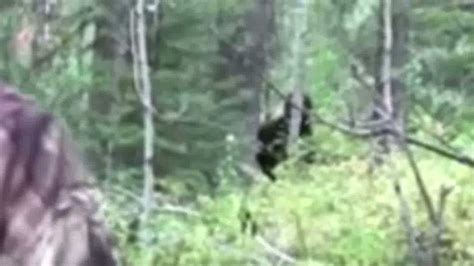 Sasquatch Bigfoot Caught On Camera Best Proof Evidence Of Year