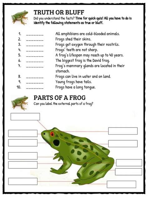 Frog Facts Worksheets And Information For Kids