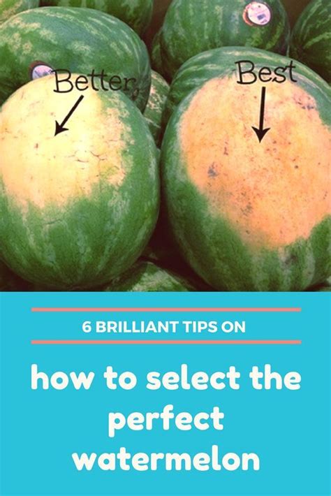 6 Brilliant Tips On How To Select The Perfect Watermelon Fruit Hacks