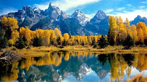Mountain Landscape Yellow Trees Reflected In The Lake Phone Wallpapers