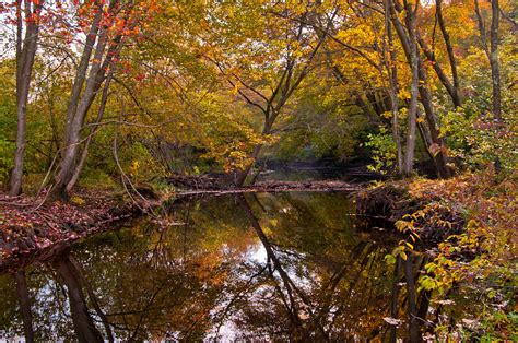 Autumn Forest River Wallpaper Nature And Landscape