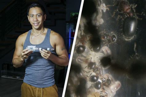 This Ant Species Is Confirmed To Be In PH Thanks To Mikey Bustos ABS CBN News