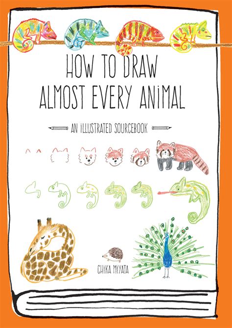 Top 114 How To Draw Any Animal