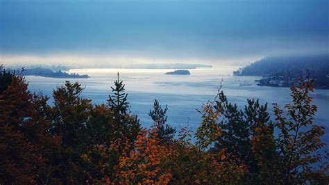 Landscape View Of Ocean Fog Island Colorful Leaves Under Blue Sky 4k