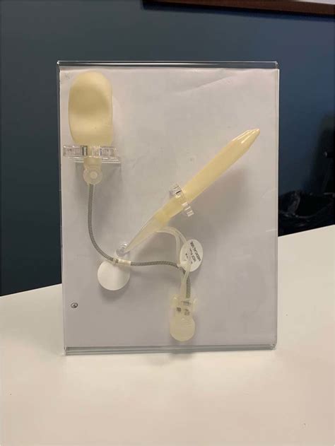 Inflatable Penile Prosthesis Ipp Teaching Model A Teaching Model Was Download Scientific