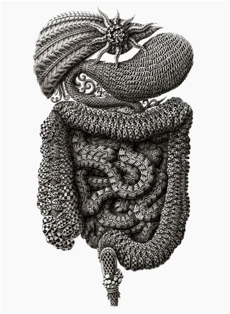 Incredibly Intricate Ink Illustrations By Alex Konahin Just Imagine