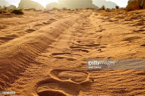 Camel Footprint Photos And Premium High Res Pictures Getty Images