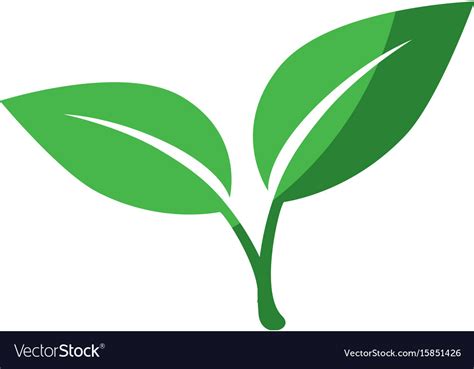 Stem With Leaves Icon Royalty Free Vector Image