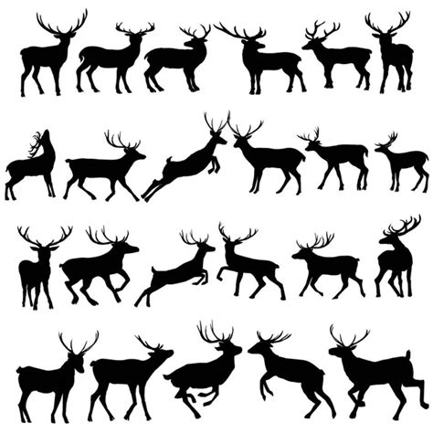 Set Black Deer White Background — Stock Vector © Paula13 19478569
