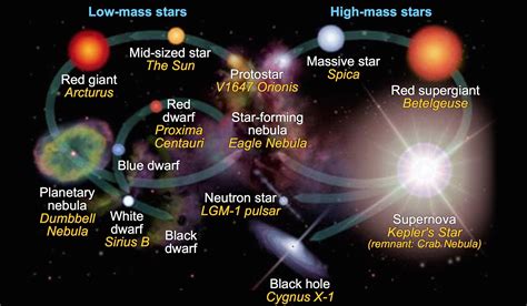This Diagram Shows The Stellar Evolution Of Low Mass Stars On The Left