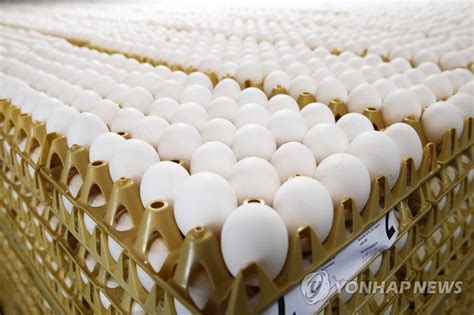 살충제 계란 파문 계란 원료로 한 식품안전 논란으로 확산