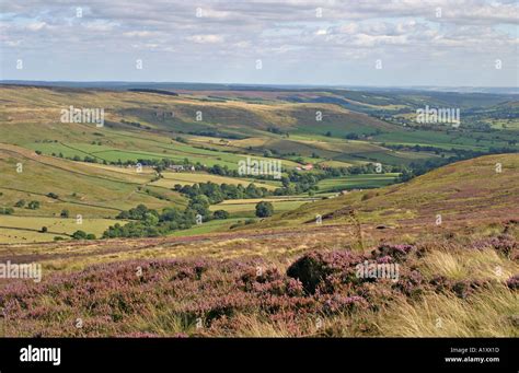 North York Moors National Park Uk Rosedale From Blakey Ridge At Heather