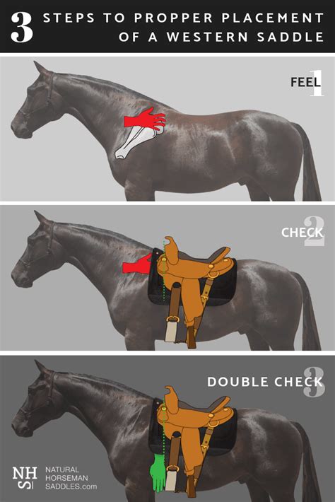 3 Steps To Correct Saddle Placement Horse Saddle Set Up Natural