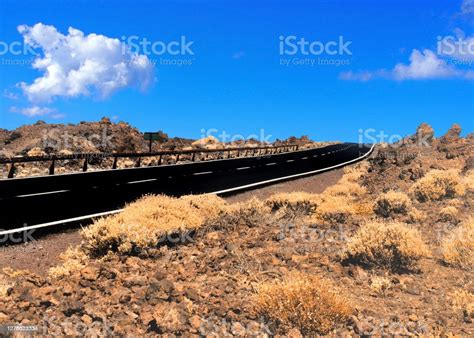 Empty Two Lane Blacktop Road In The Desert With Scrub Plants Arid
