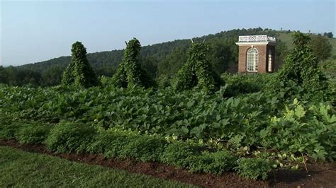 In The Vegetable Garden At Monticello Youtube