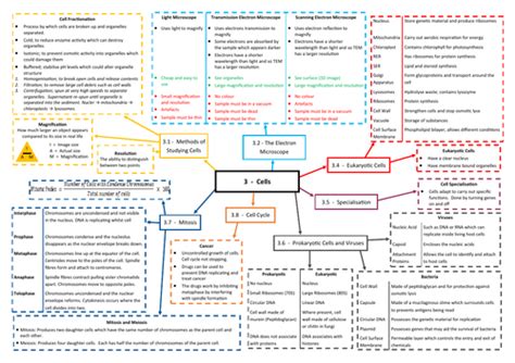 Cells Revision Mind Map Aqa Asa Level Biology 74017402 Teaching