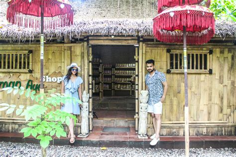 Saying no to everything for 24 hours (prank wars). Why It's Better NOT to Drink Civet Cat Poop Coffee Bali?
