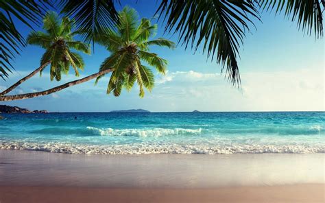 Free Download Tropical Beach Landscape Wallpapers Top Tropical Beach 1920x1200 For Your