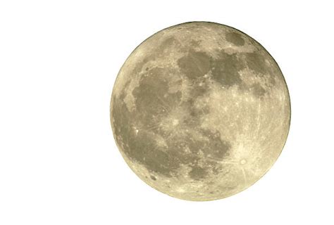 Moon White Background Stock Photos Pictures And Royalty