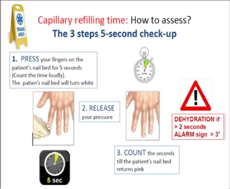 how to assess capillary refilling time at the triage download scientific diagram