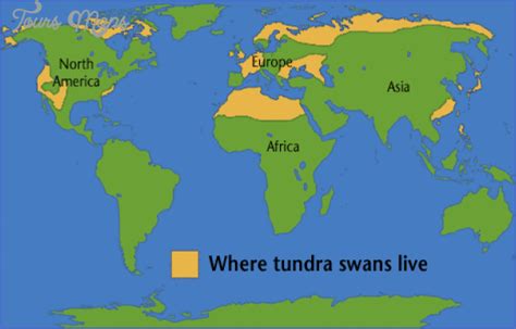 Map Of Tundra Photos