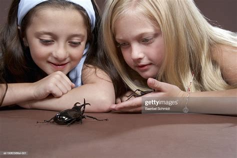 Two Girls Lying Down And Looking At Large Black Beetle Closeup High Res