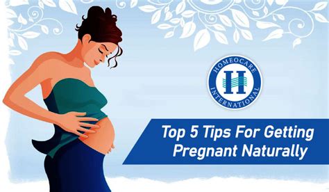 Top 5 Tips For Getting Pregnant Naturally Homeocare International
