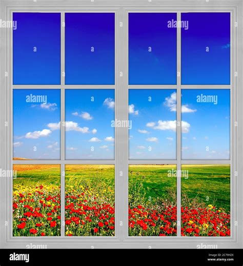 Large Multi Pane Windows Modern Windows And Doors Upvc Windows Stock