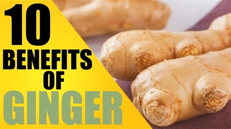 Top Amazing Medicinal Benefits Of Consuming Ginger The Powerful
