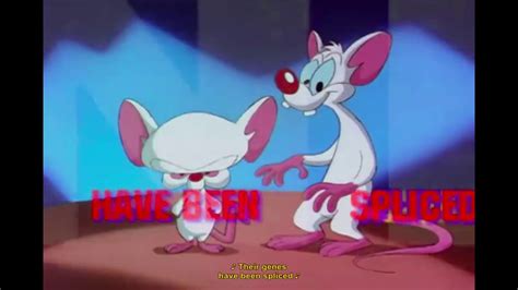 This story is basically inanimate insanity but pinky and the brain are owned by test tube! Pinky & Brain Theme Song With Lyrics - YouTube