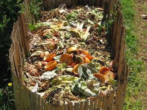 Gardening Etcetera Composting What It Is And Why It Works