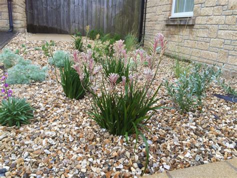 We did not find results for: Truro Front Garden | Landscapes of Distinction