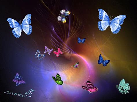 Butterflies Wallpaper Colourful Butterflies Mariposas Fondos De