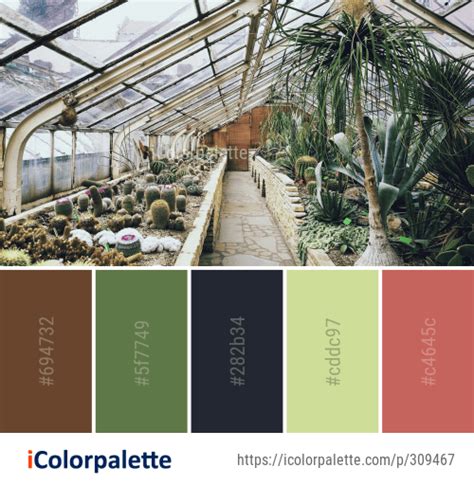 9 Greenhouse Color Palette Ideas In 2023 Icolorpalette