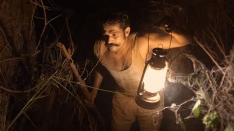 tumbbad movie review a fey beautiful and dark masterpiece