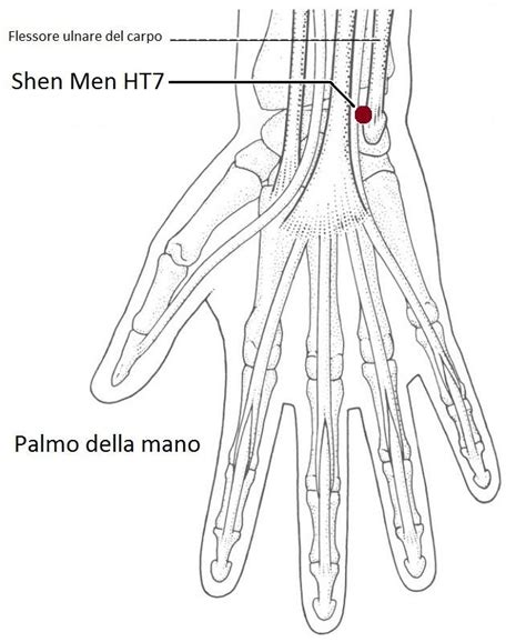 NON SOLO CROMOPUNTURA : SHEN MEN (Porta della Mente), HT7 ...