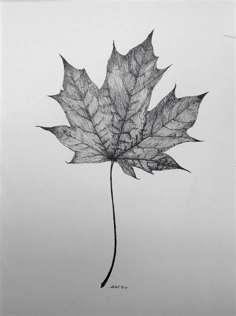 Maple Leaf Original Drawing Ink On Bristol Paper Made To Etsy