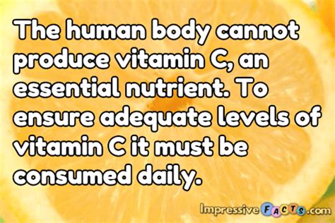 The Human Body Cannot Produce Vitamin C An Essential Nutrient To