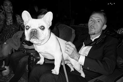 Simon Pegg Mission Impossible Boston Terrier French Bulldog Fangirl
