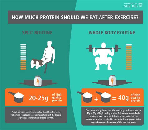 How much protein do you or i need to build muscle? How Much Protein You Need After a Workout