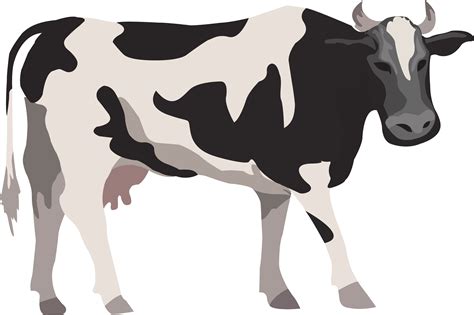 Cattle Livestock Farm Illustration Cow Vector Png Download 3978