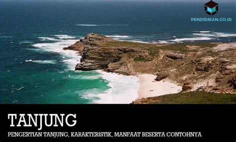 √ Pengertian Tanjung Karakteristik Manfaat Beserta Contohnya